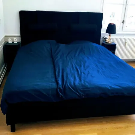 Séjour chez l'habitant Mansion In Cph Central *